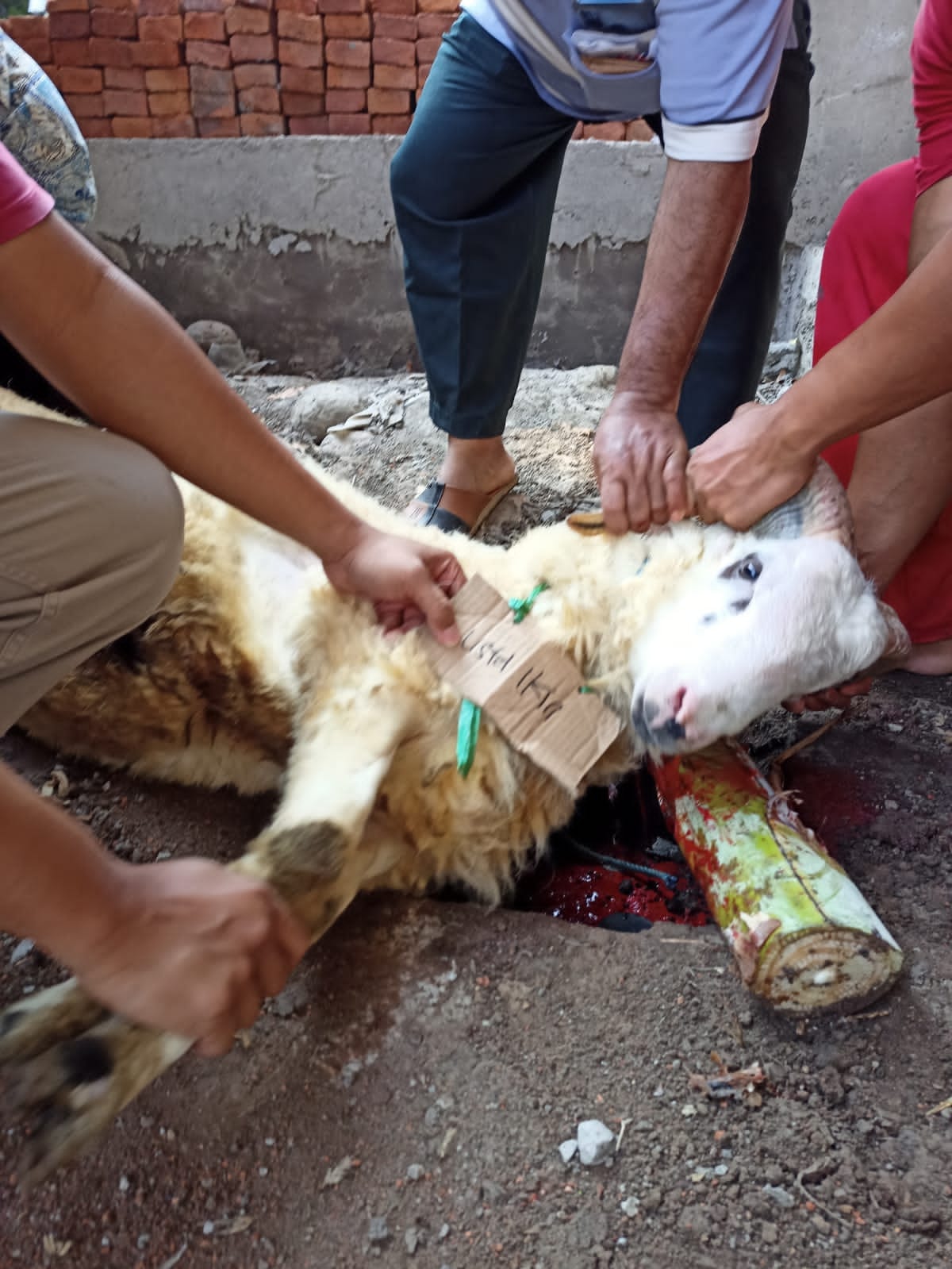 Bantuan bencana alam